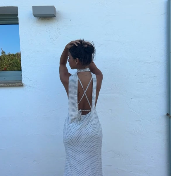 Michelangelo Polka Dot Midi Dress