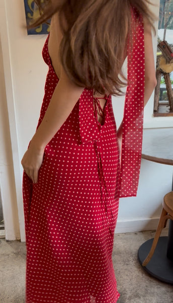 Michelangelo Polka Dot Midi Dress in Red