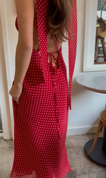 Michelangelo Polka Dot Midi Dress in Red